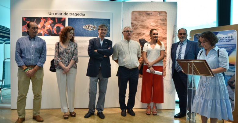 Inauguración exposición