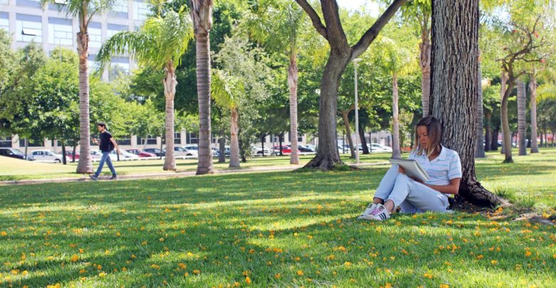 UPV
