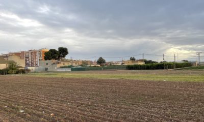 Emprende y Cultiva: ayudas Ayuntamiento Valencia