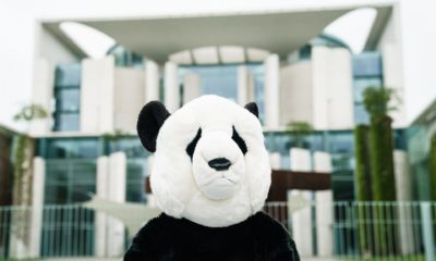 abusar de niñas disfrazado de oso panda