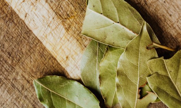 laurel caída cabello y caspa beneficios trucos
