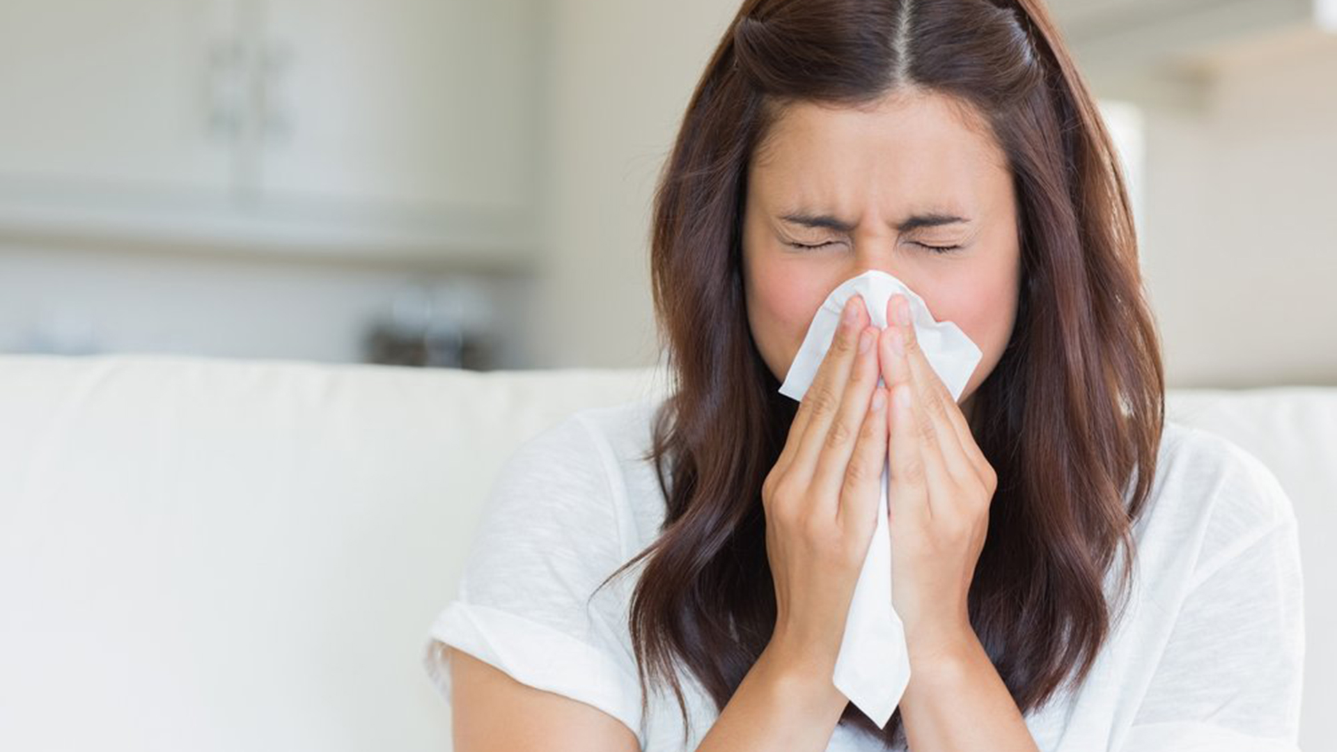 ¿Qué día concluye la temporada de alergias?