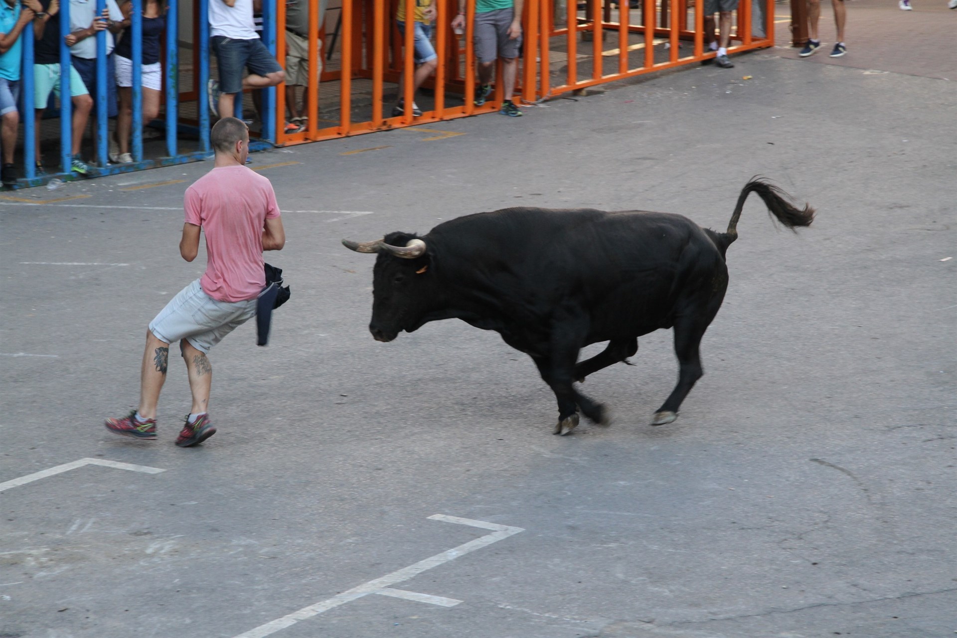 Ayuntamiento de Valencia 'bous al carrer'
