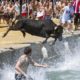 Muere toro bous a la mar Dénia
