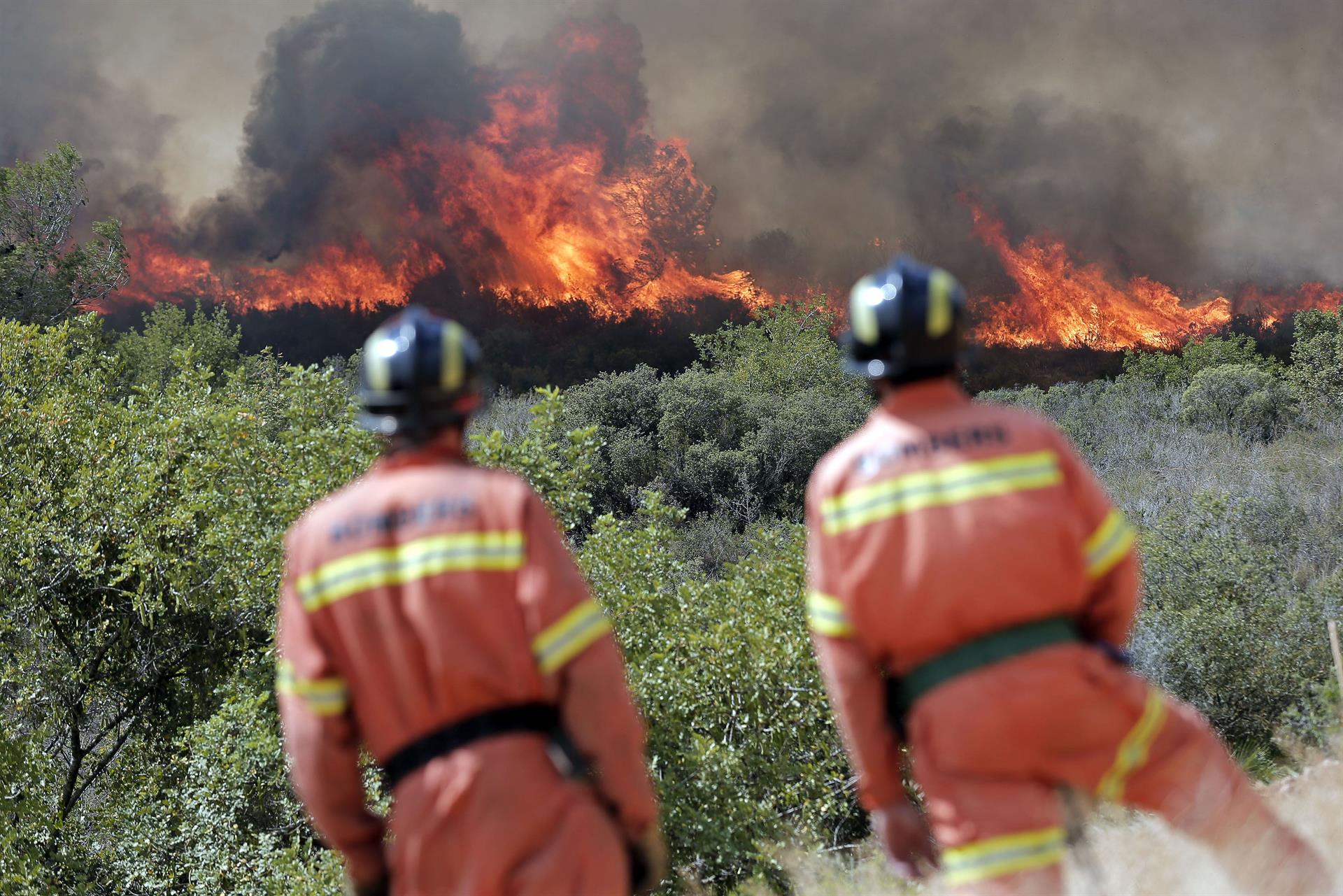 incendio forestal en Riba-roja