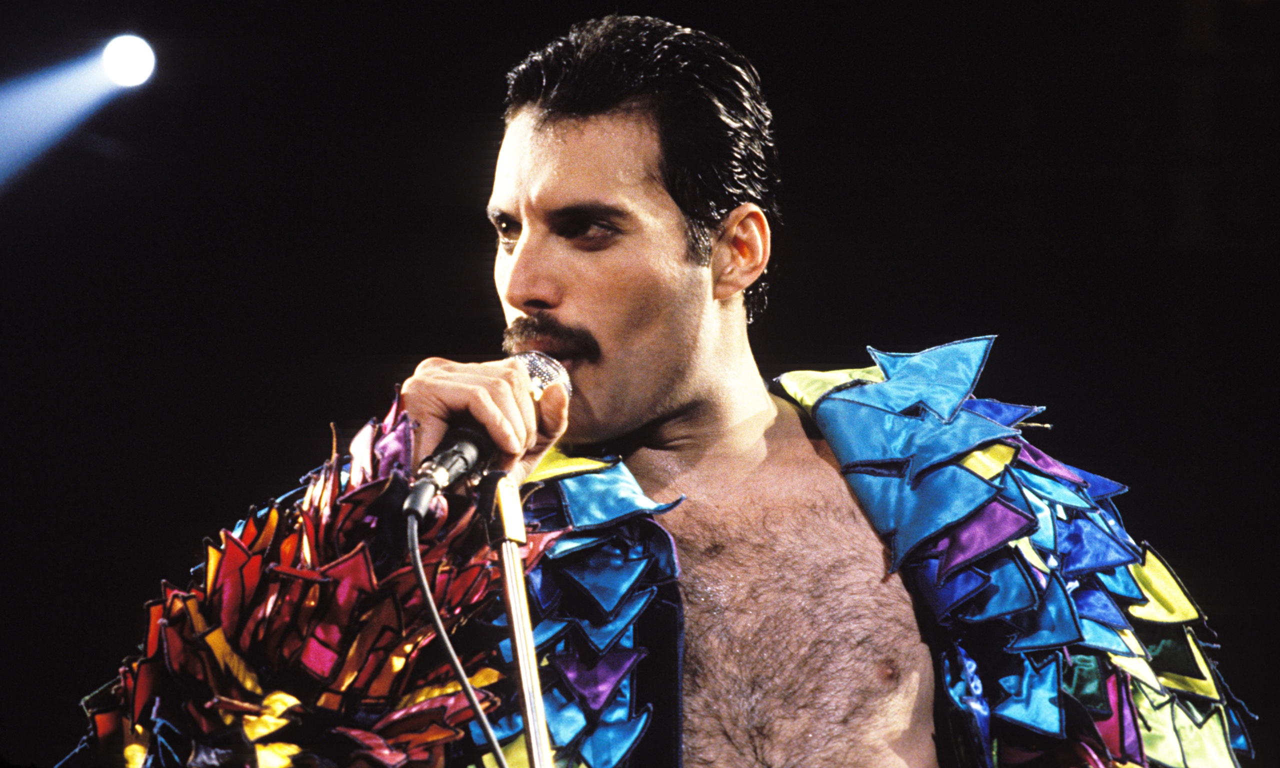 Freddie Mercury frases célebres