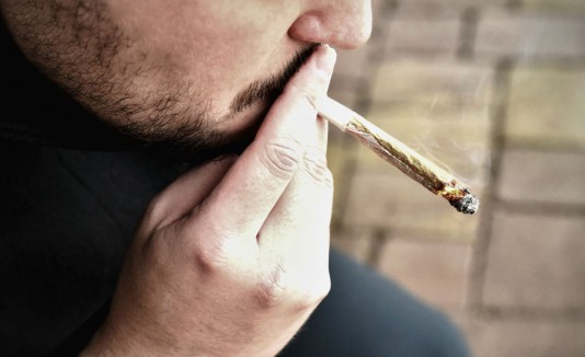 La marihuana que fuman la mayoría de los jóvenes españoles no es apta para el consumo por estar plagada de hongos
