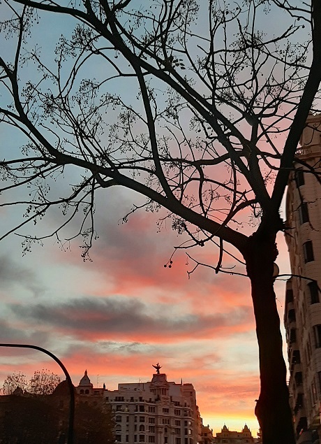 el otoño que nos espera