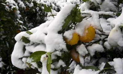 localidades valencianas más frío