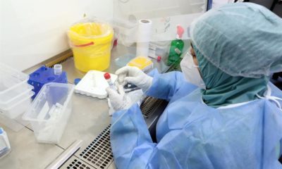 Anticuerpos de variante sudafricana de coronavirus ofrecen protección cruzada