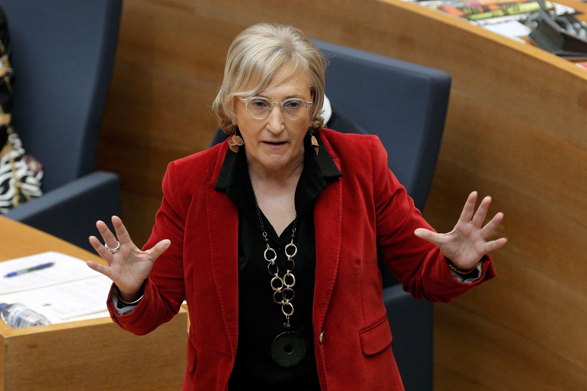 Ana Barceló optará a ser la alcaldable socialista en Alicante