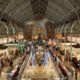 GALERÍA| Así es la espectacular decoración de Navidad del Mercado de Colón de València