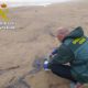 Las playas del sur de València se llenan de medusas minúsculas tras el temporal