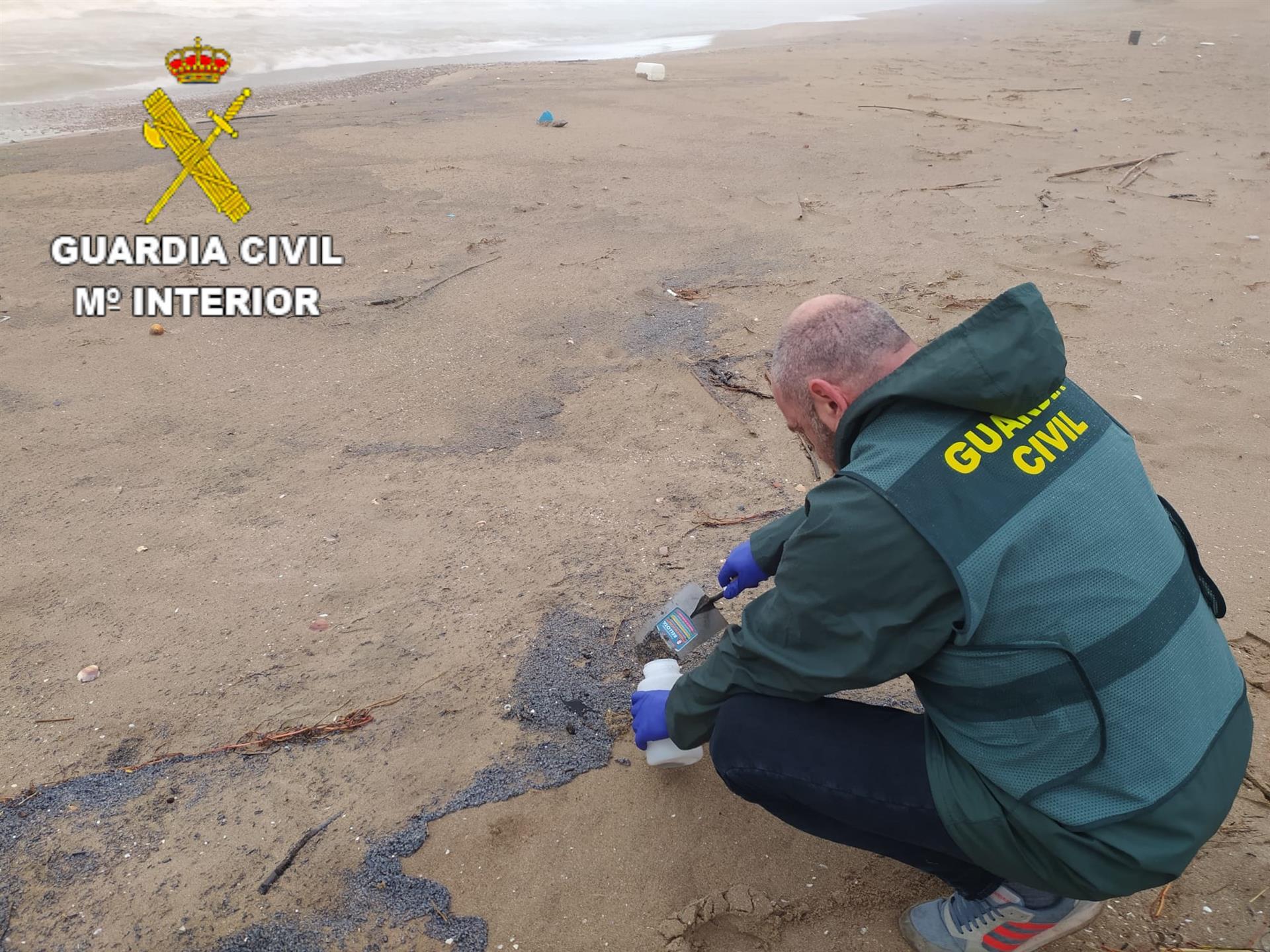 Las playas del sur de València se llenan de medusas minúsculas tras el temporal