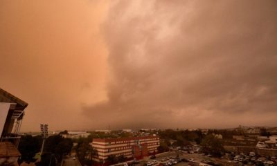 polvo suspensión Valencia