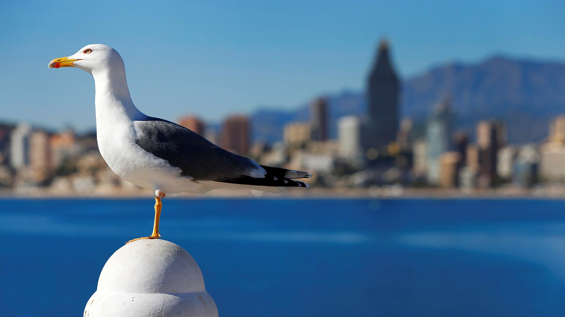 el tiempo en valencia