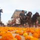 Batalla de Flores 2025