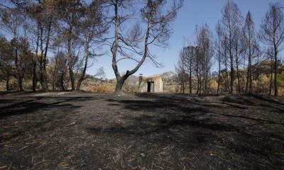 incendio en vall d'ebo