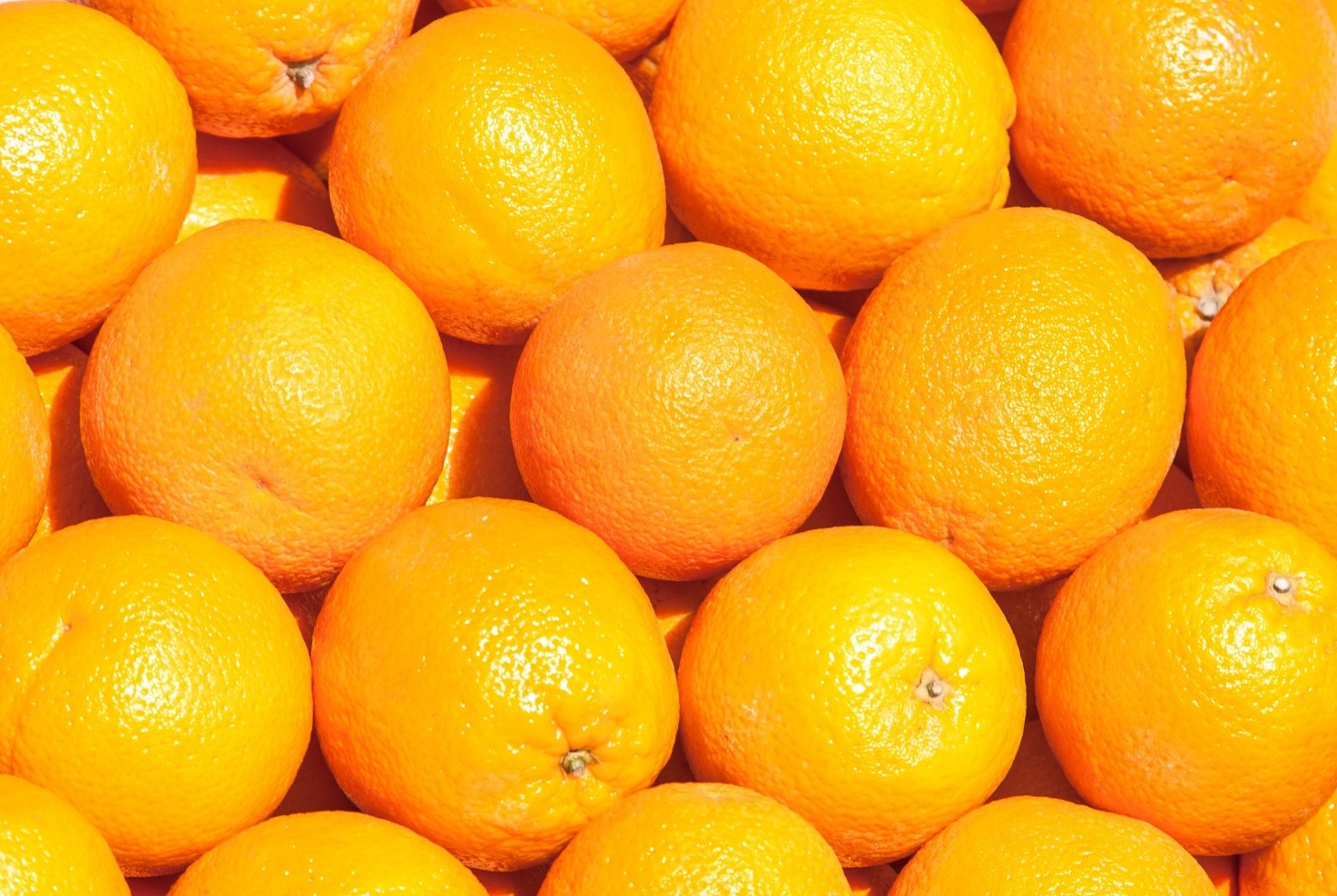 Mercadona finaliza la campaña de naranja y mandarina origen España comprando más de 192.000 toneladas