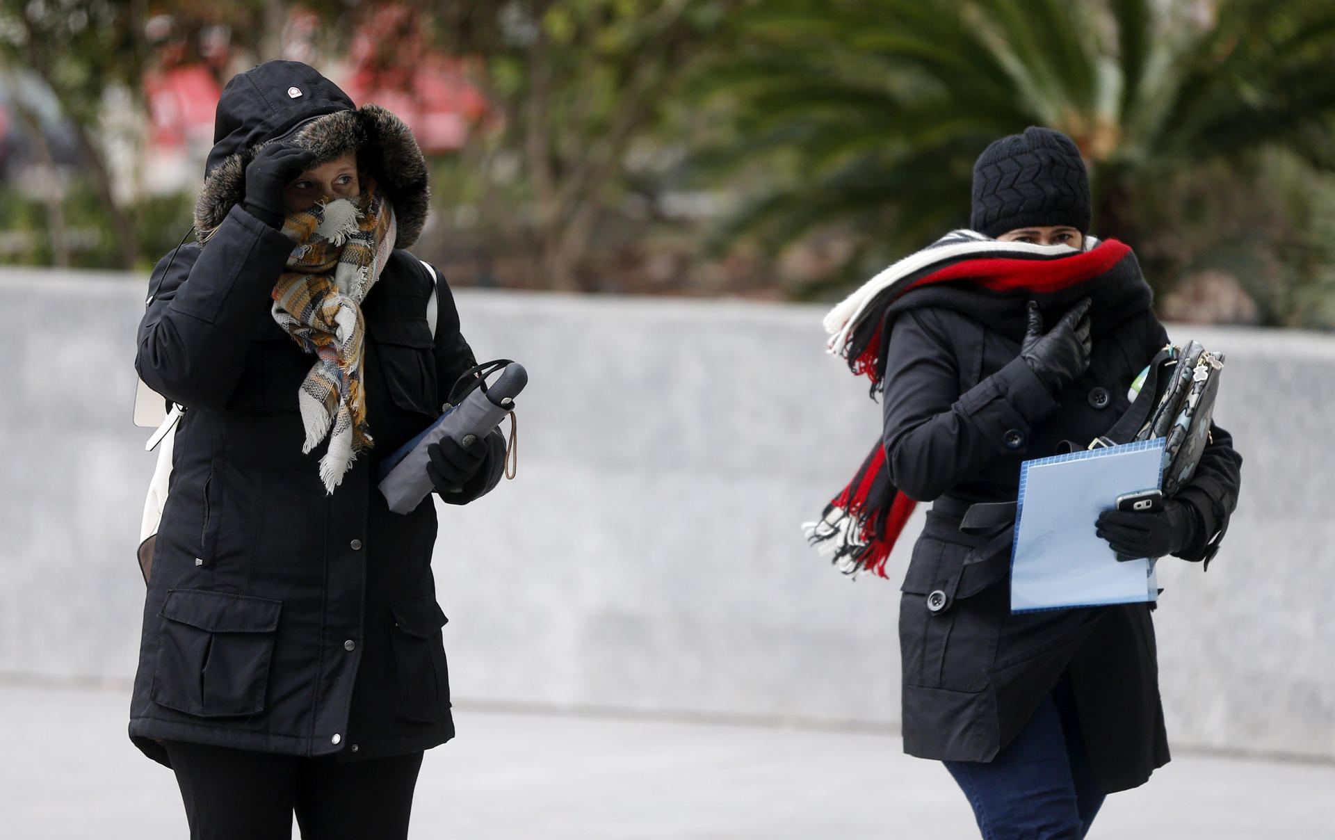 el tiempo en valencia