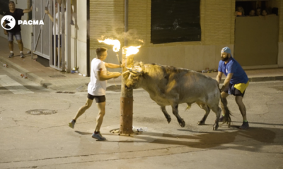 menor toro embolado Villarreal