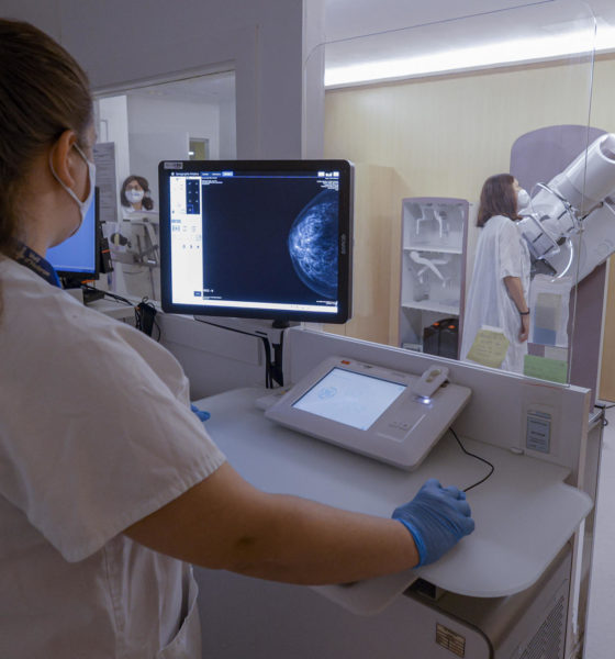 Estas son las carreras con más garantía de empleo