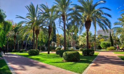 Valencia reconocida ciudad arbórea