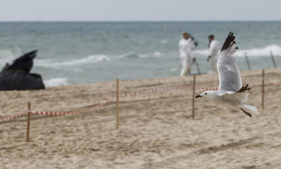 Cierre playas La Safor