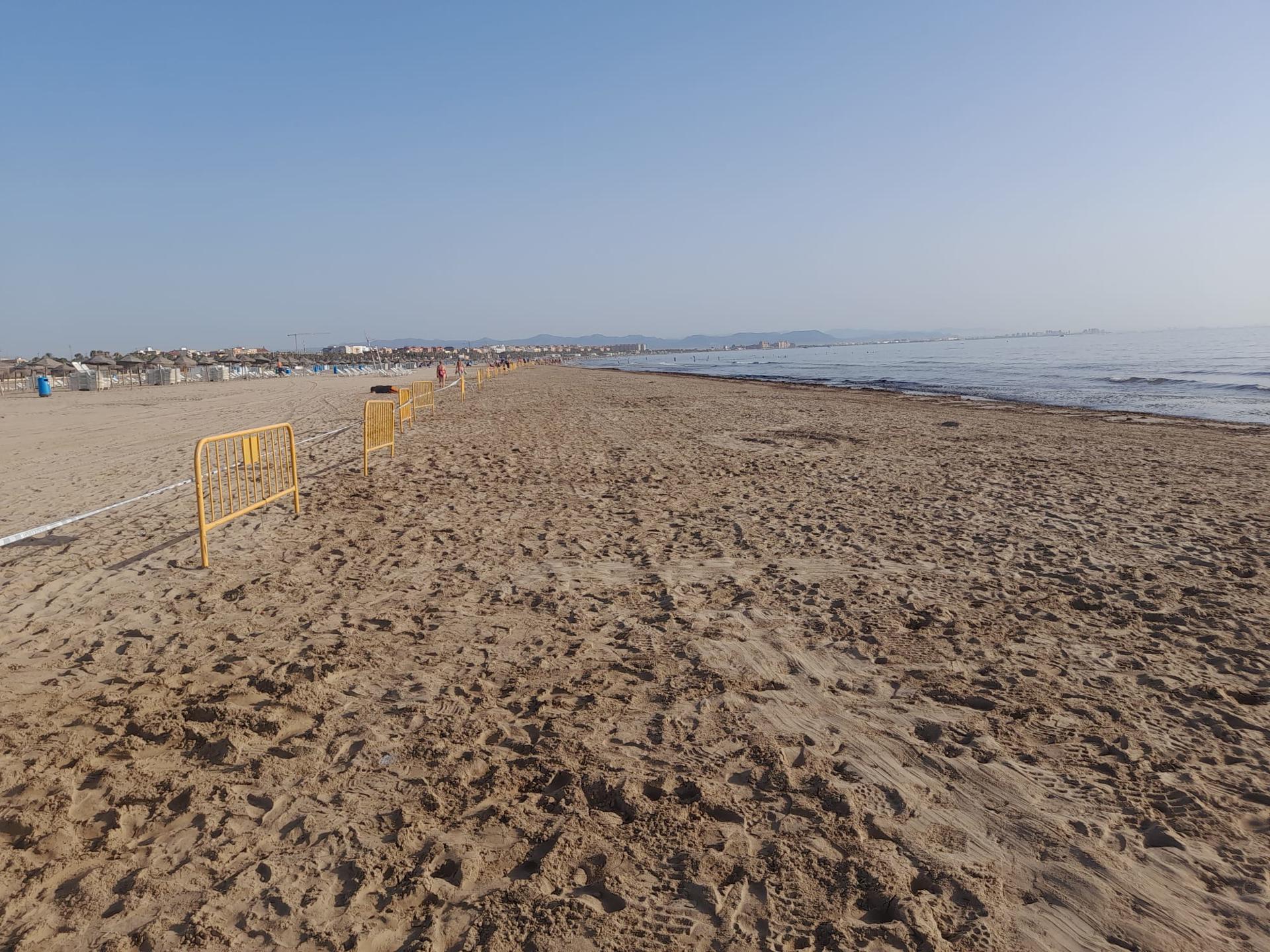 Playa Cabanyal algas