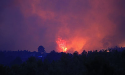 Incendio forestal Benasau