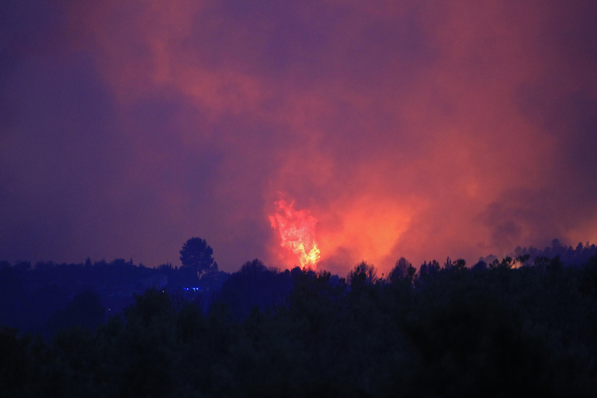 Incendio forestal Benasau