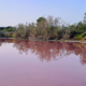 Albufera de Valencia agua color rosa