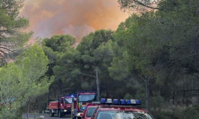 Incendios en Benicàssim Millena y Montroy