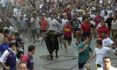 Torico de la Cuerda Chiva