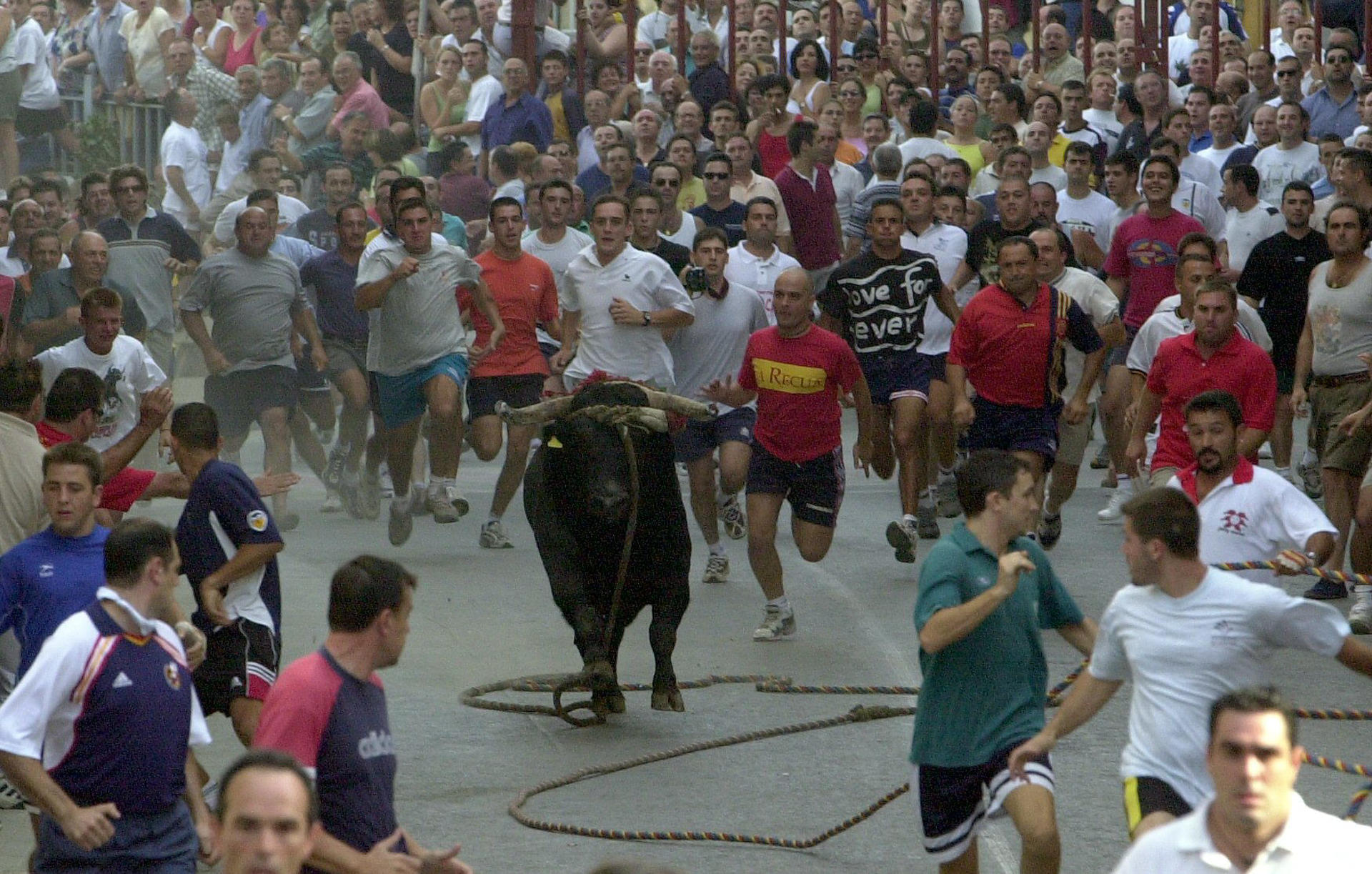 Torico de la Cuerda Chiva