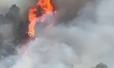 Incendios Benicassim Oropesa pirómano