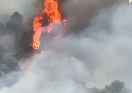 Incendios Benicassim Oropesa pirómano