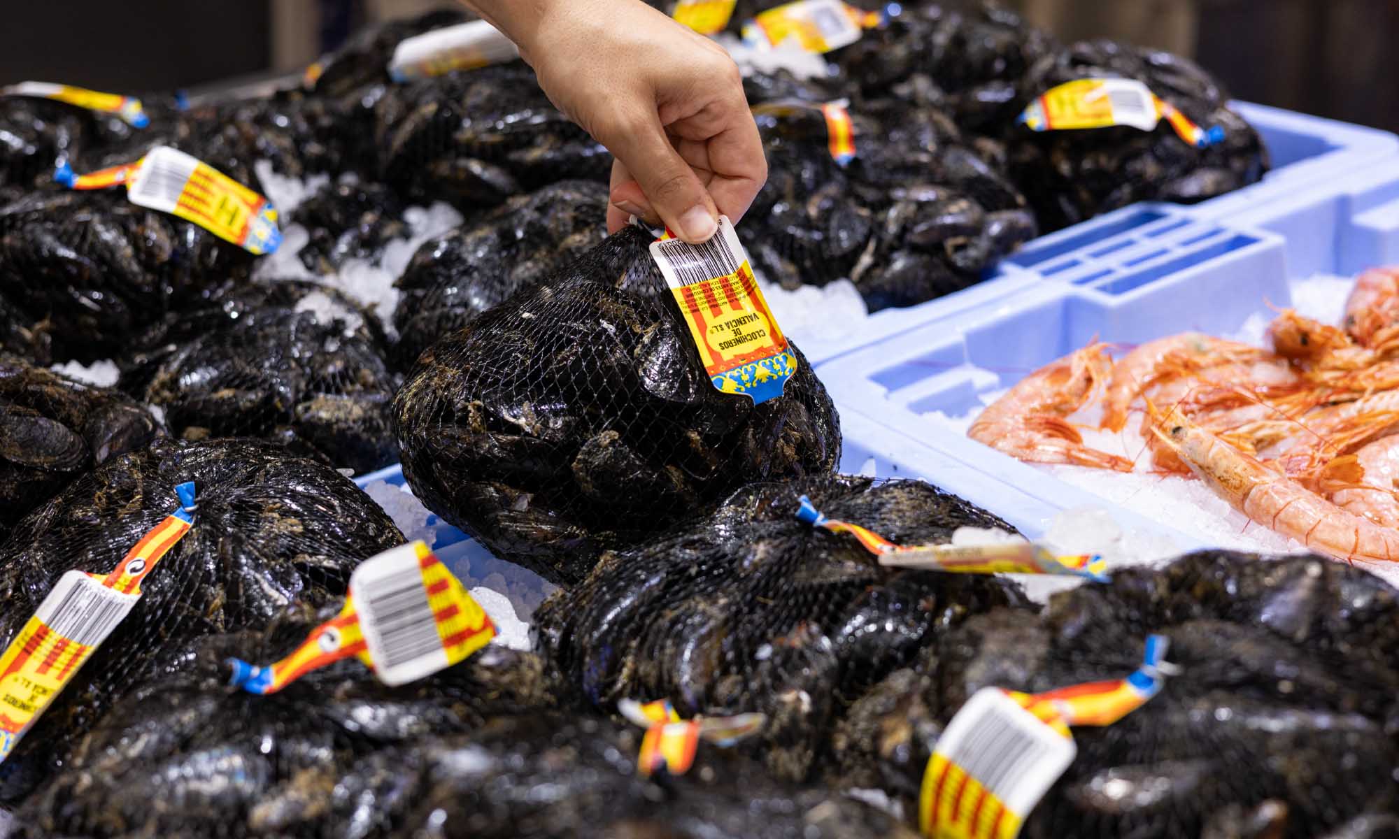 Clóchinas valencianas en Mercadona