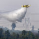 incendio en un palmeral de Sueca