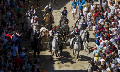 entrada caballos Segorbe fallecimiento