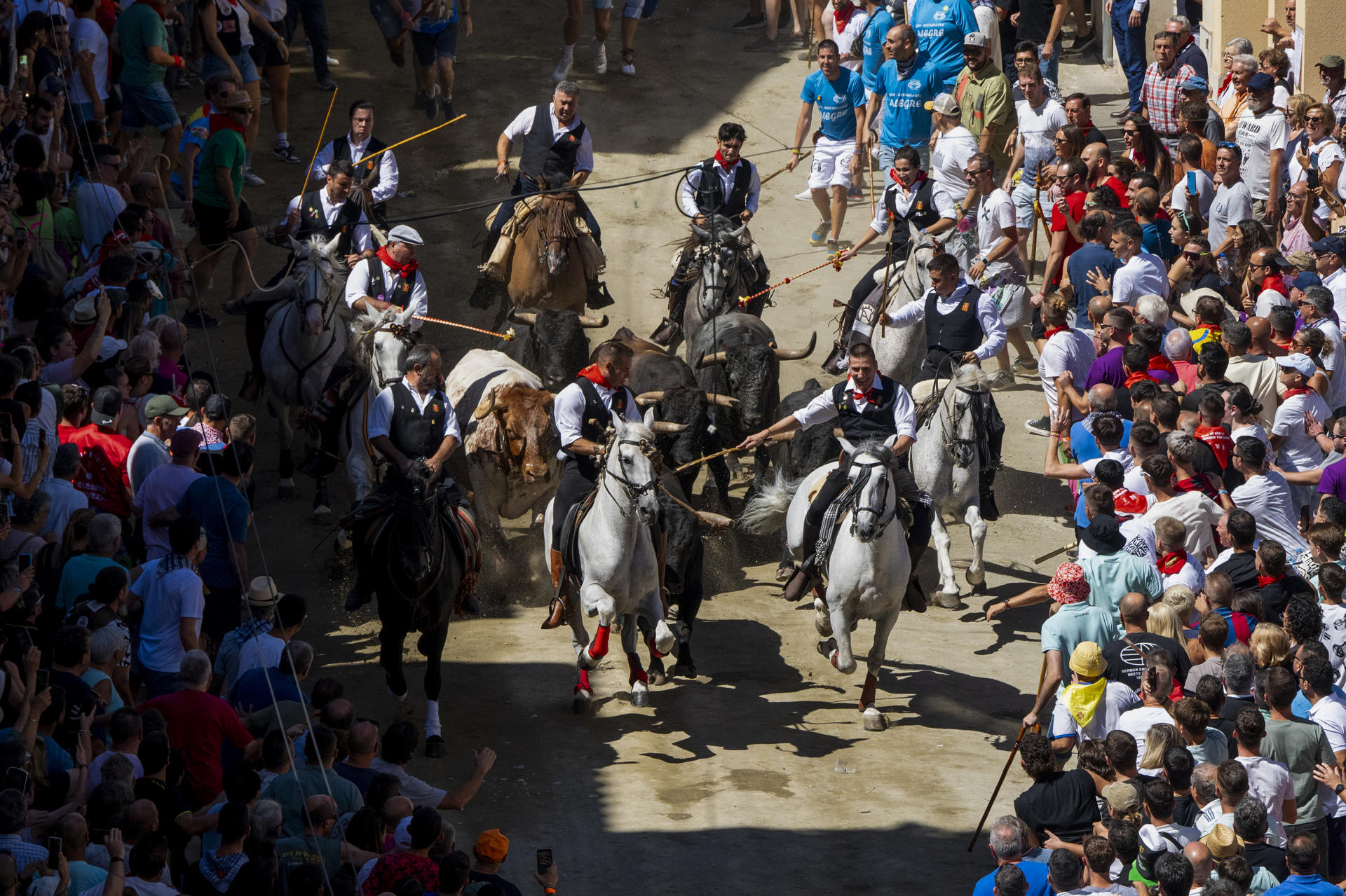 entrada caballos Segorbe fallecimiento