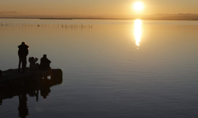 Albufera Valencia reserva biosfera