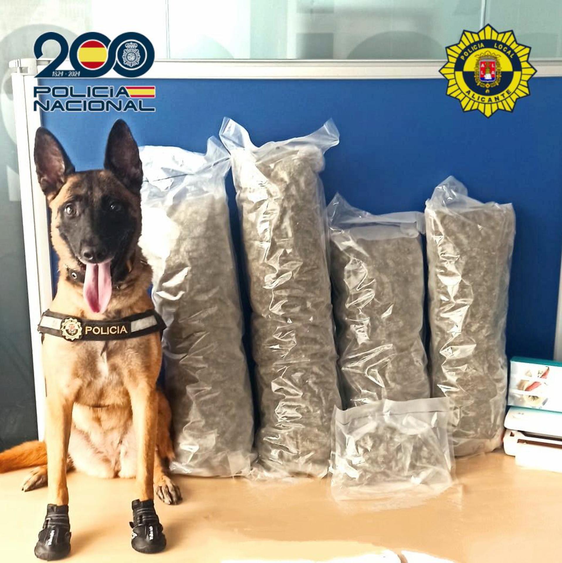 perro policía marihuana