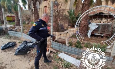 Hospitalizado chico atacado perro Moncada