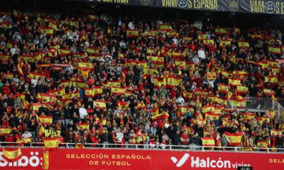 Detención en Mestalla partido España