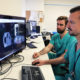 La Fe realiza la primera electroquimioterapia en España