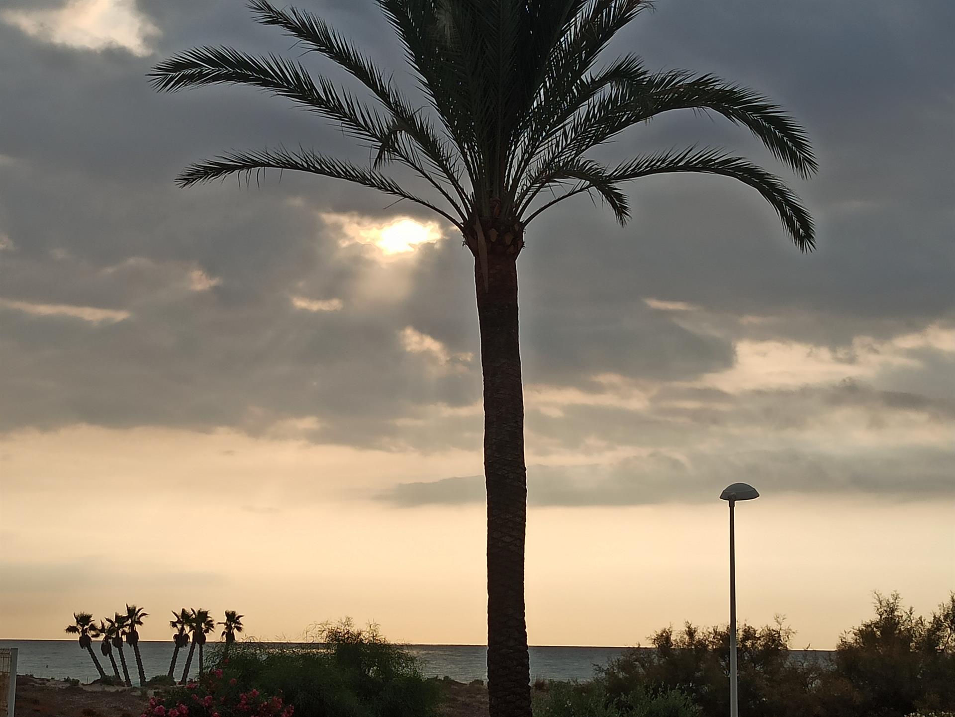 El tiempo en Valencia