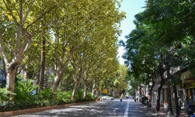 gran vía Marqués del Turia