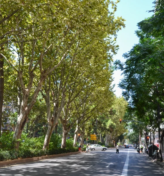 gran vía Marqués del Turia