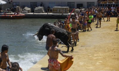 herido grave bous a la mar Denia